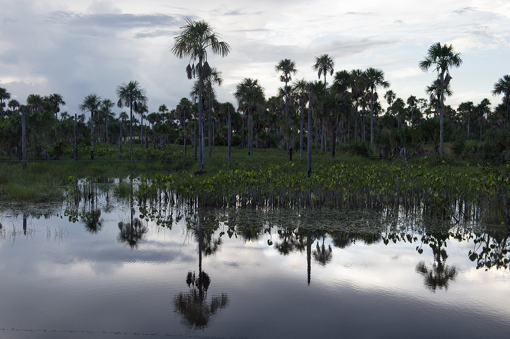 La Agencia y el PNUD impulsan la agenda de descarbonización de los países más vulnerables al cambio climático